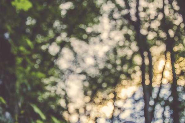 You are currently viewing Bali Uncovered: A Journey Beyond the Beaches